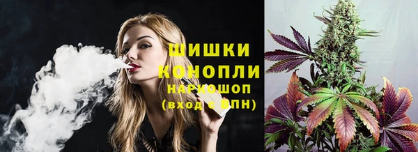 дмт Дмитриев
